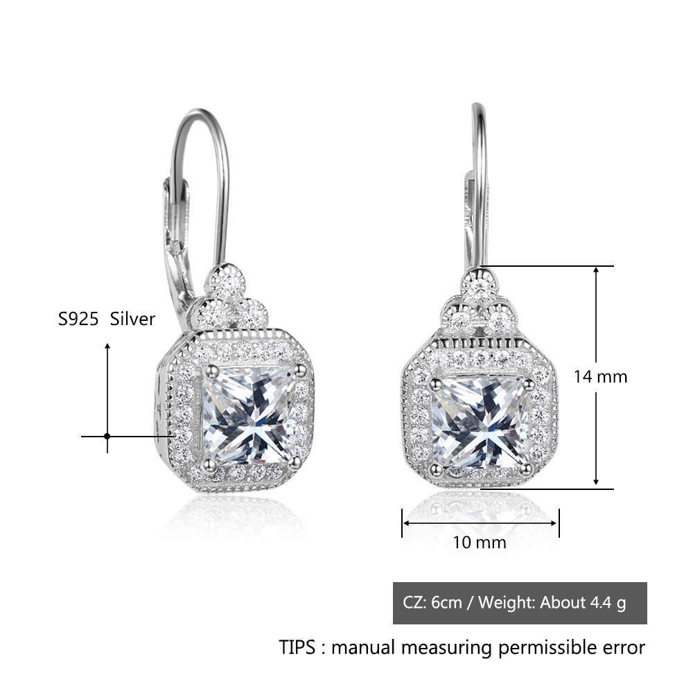 s925 sterling silver earrings